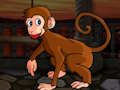 Cluiche Éalú Macaque Laghdú  ar líne