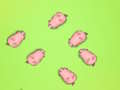 Cluiche Sábháil na Piggies  ar líne