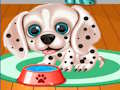 Cluiche Cluiche Mo Puppy Day Care Salon  ar líne