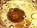 Cluiche Jigsaw Bubbles Ola  ar líne