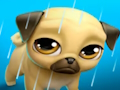 Cluiche Mo Peataí Fíorúil Louie an Pug  ar líne