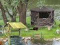 Cluiche Cluiche Líne Mystery Lake Escape  ar líne