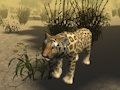 Cluiche Insamhlóir Fiaigh Cheetah hAfraice  ar líne