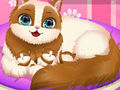 Cluiche Kitty gleoite ag iompar clainne  ar líne