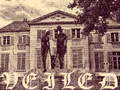 Cluiche Veileal ar líne
