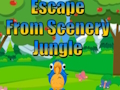 Cluiche Cluiche Éalú ó Jungle Radharc  ar líne