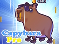 Cluiche Cluiche Capybara Pro  ar líne