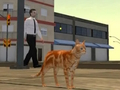Cluiche Cluiche cat cathrach insamhlóir  ar líne