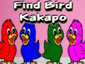 Cluiche Aimsigh Bird Kakapo  ar líne