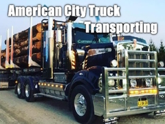 Cluiche Iompar Truck Cathrach Mheiriceá  ar líne