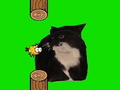 Cluiche Sníomh éan flappy oia oia cat  ar líne