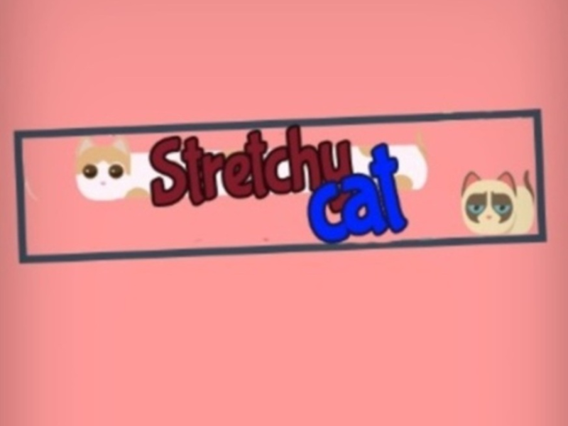 Cluiche Cat Stretchy  ar líne