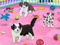 Cluiche Cúram peataí puppy  ar líne