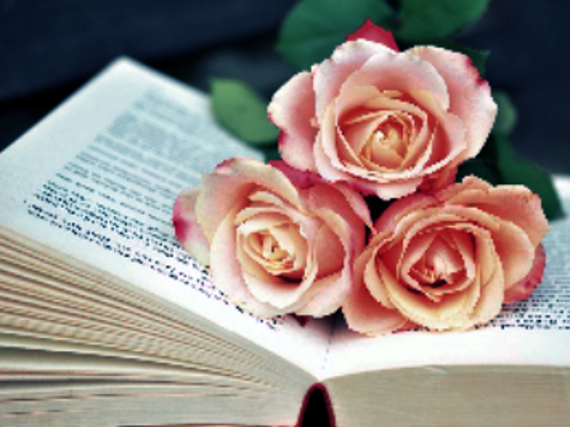 Cluiche Leabhar Blooms Jigsaw ar líne